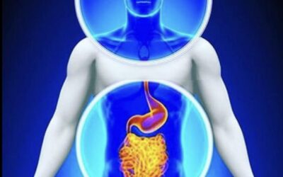 IL MICROBIOTA INTESTINALE: INTESTINO COME SECONDO CERVELLO
