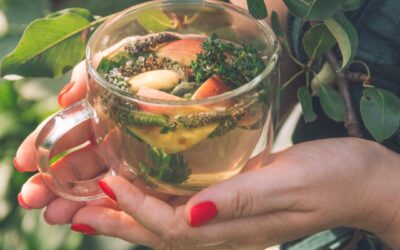 INFUSO O DECOTTO… O TISANA?