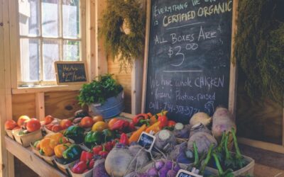 ALIMENTAZIONE E IMMUNITA’